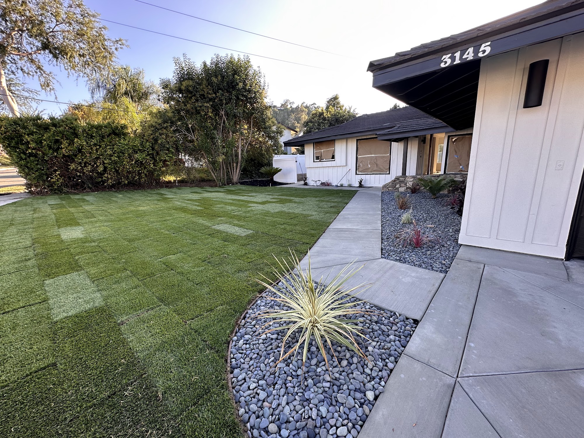 Green front lawn beside a curved gray pebble planting bed and concrete walkway